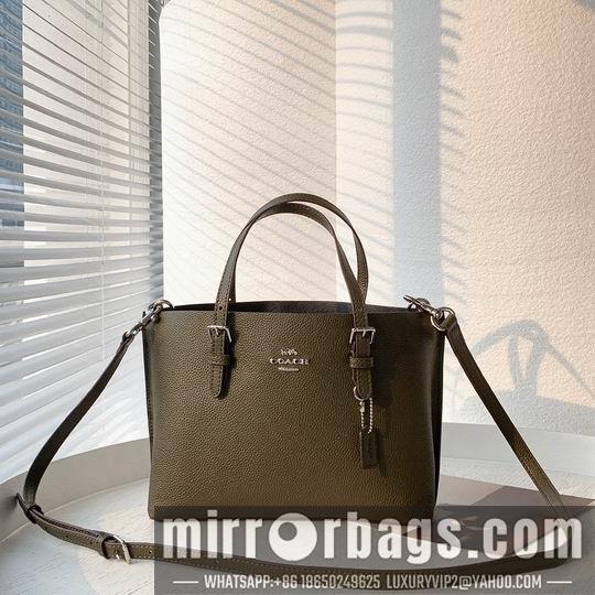 Replica Coach Bags Coach C4250 25x19x110cm zy