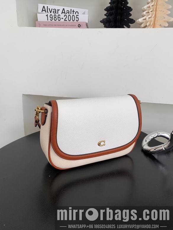 Replica Coach Bags 062301 AZ 4colour