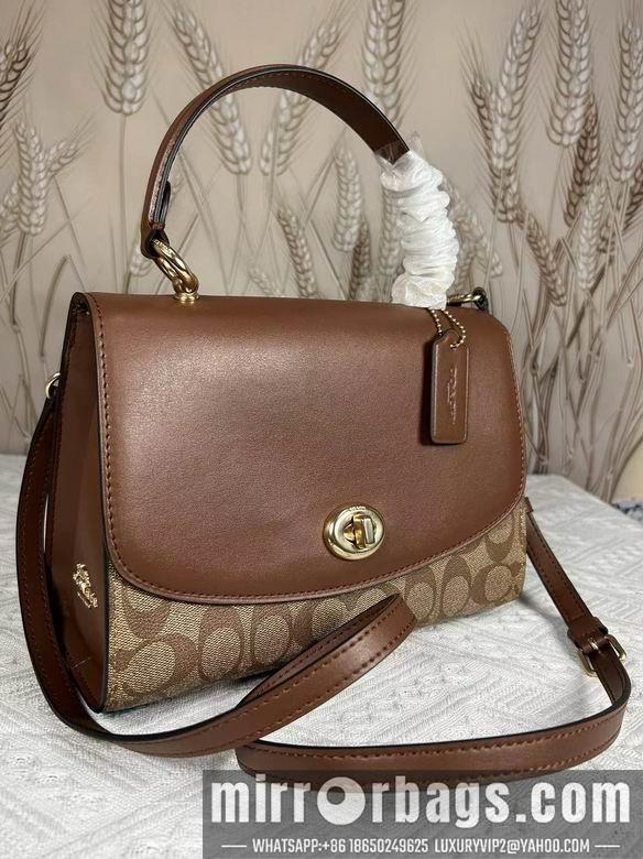 Replica Coach Bags 76620 25X16cm DN 4colour