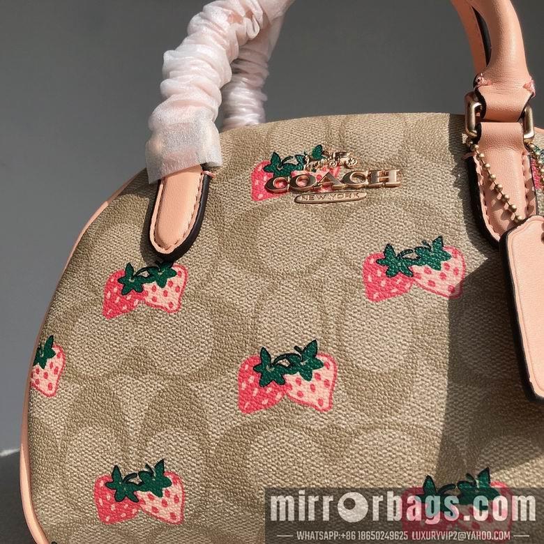 Replica Coach Bags CB596  20.5x12.5x15.5cm