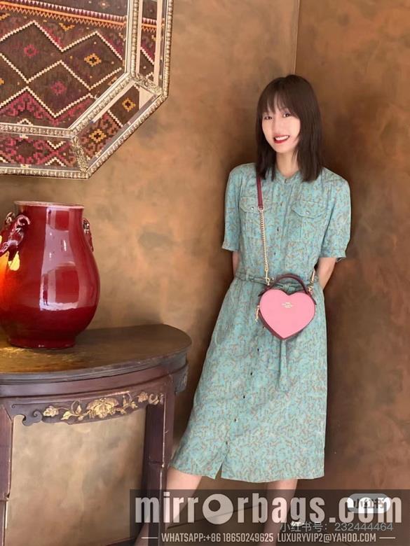 Replica Coach Bags 5118  5119 C8040 JH