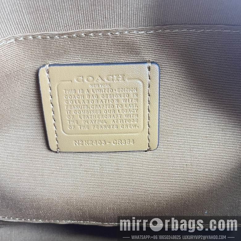 Replica Coach Bags CR354 23X15X8cm AZ 4colour