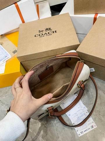 Replica Coach Bags Coach 枕头包 25x15cm CN