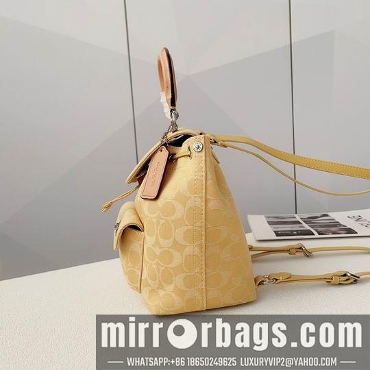 Replica Coach Bags Coach CJ833 21.5x23x12cm zy