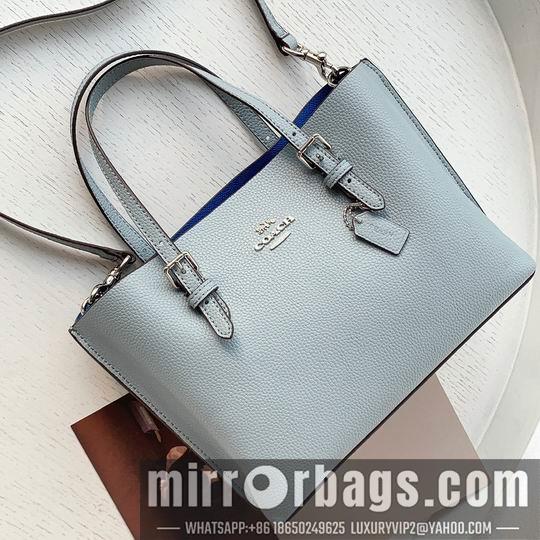 Replica Coach Bags Coach C4250 25x19x110cm zy1