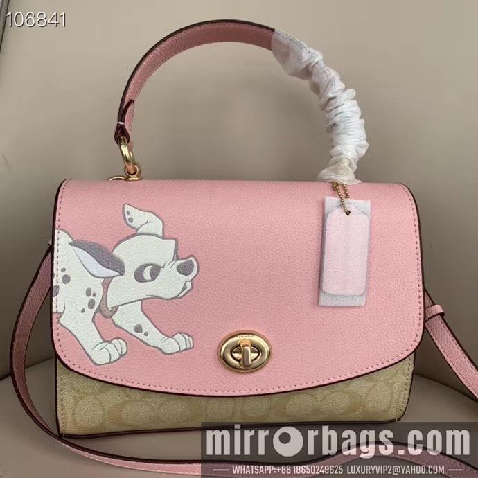 Replica Coach Bags 91128 25X16cm DN
