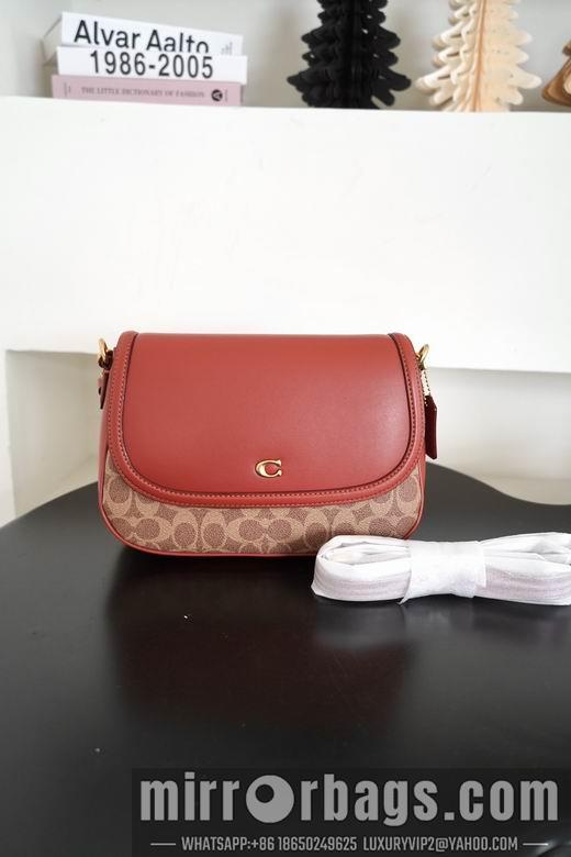 Replica Coach Bags 062301 AZ 4colour