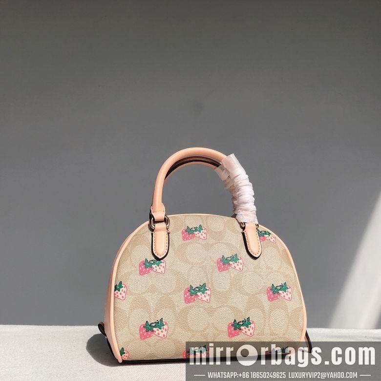 Replica Coach Bags CB596  20.5x12.5x15.5cm
