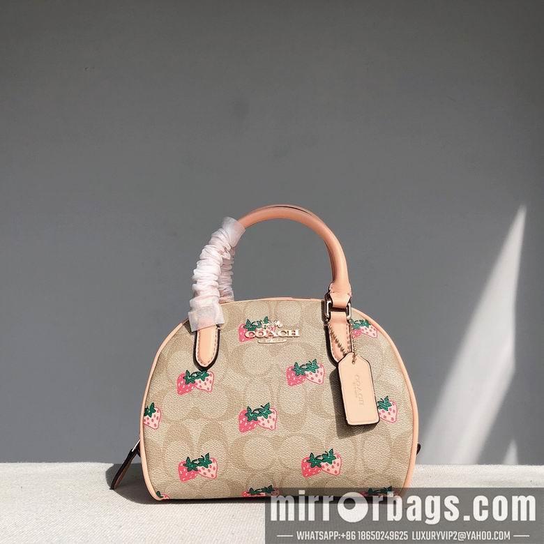Replica Coach Bags CB596  20.5x12.5x15.5cm