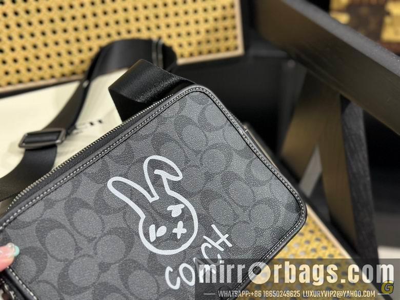 Replica Coach Bags 24X17cm 081710 DN