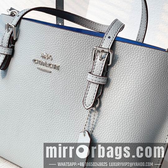 Replica Coach Bags Coach C4250 25x19x110cm zy1