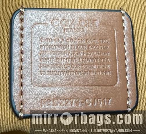 Replica Coach Bags CK161 CJ517 29X23X8cm AZ 2colour
