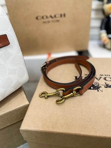 Replica Coach Bags Coach 枕头包 25x15cm CN
