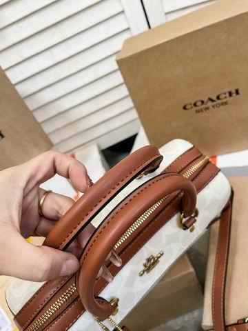 Replica Coach Bags Coach 枕头包 25x15cm CN