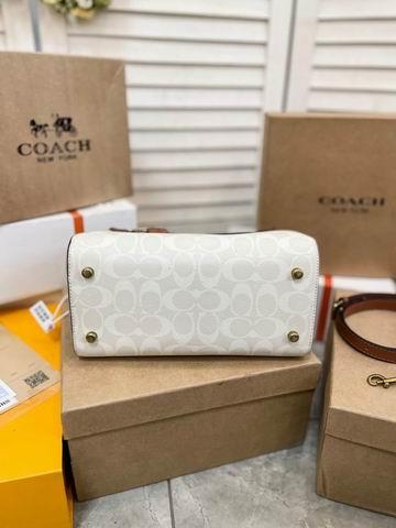 Replica Coach Bags Coach 枕头包 25x15cm CN