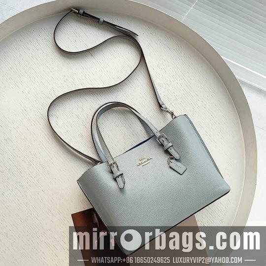 Replica Coach Bags Coach C4250 25x19x110cm zy1