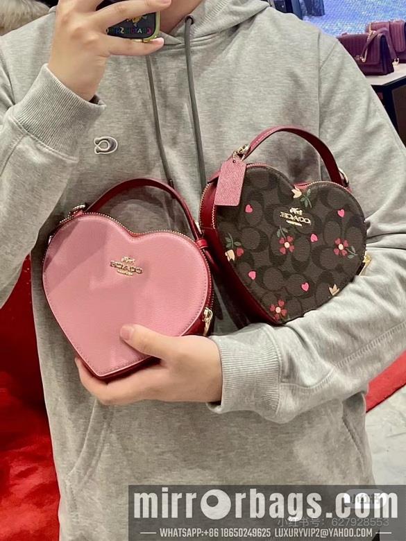 Replica Coach Bags 5118  5119 C8040 JH