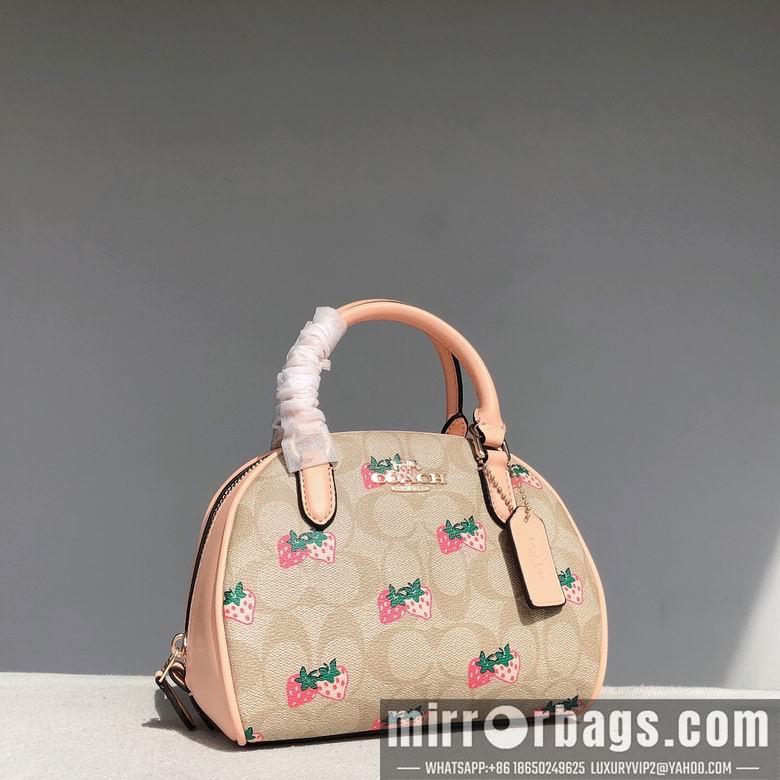 Replica Coach Bags CB596  20.5x12.5x15.5cm