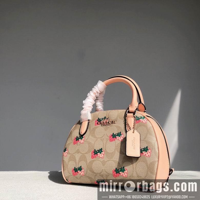 Replica Coach Bags CB596  20.5x12.5x15.5cm