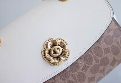Replica Coach Bags BH30585 26X17X10 two colors
