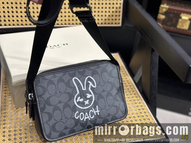 Replica Coach Bags 24X17cm 081710 DN
