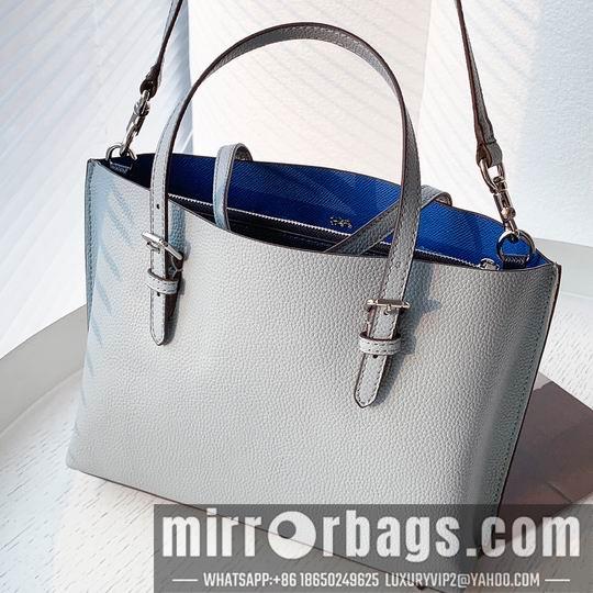 Replica Coach Bags Coach C4250 25x19x110cm zy1