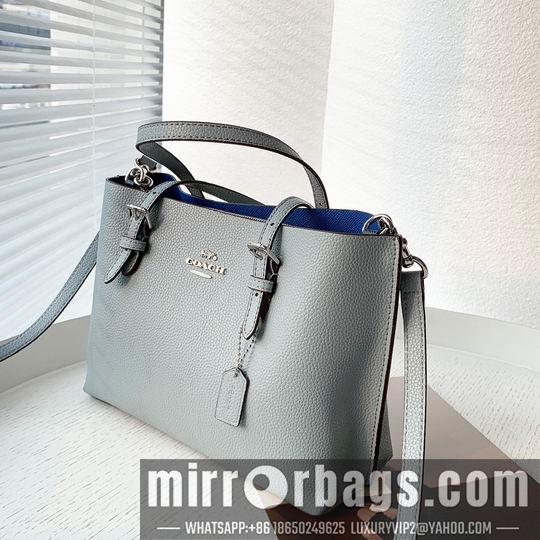Replica Coach Bags Coach C4250 25x19x110cm zy1
