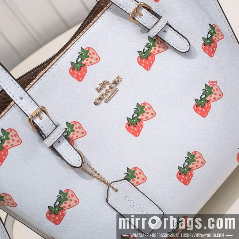 Replica Coach Bags CB600 25X19X12cm AZ