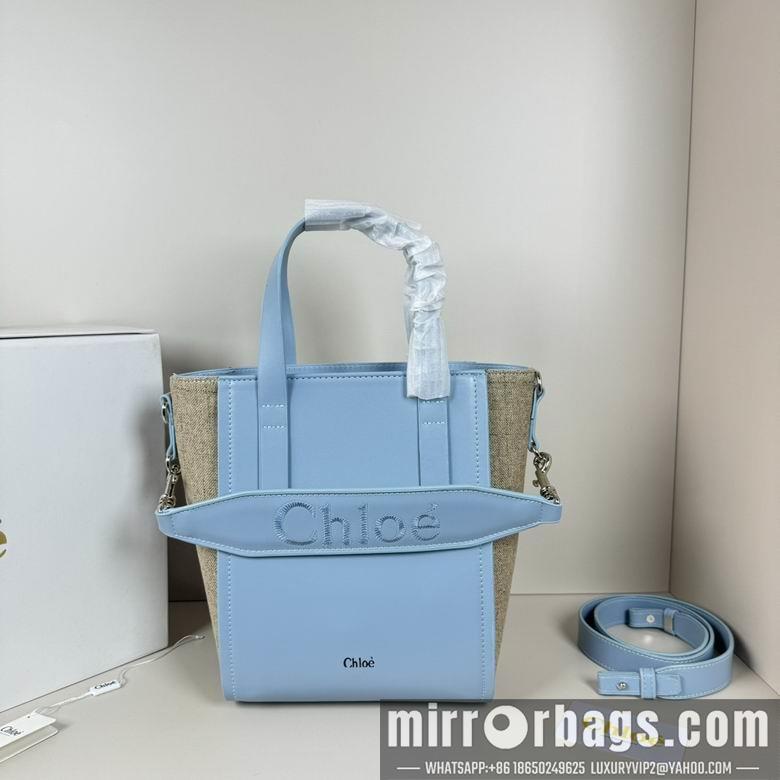 Replica Coach Bags 20.5X26X10cm 060313 XMY 3