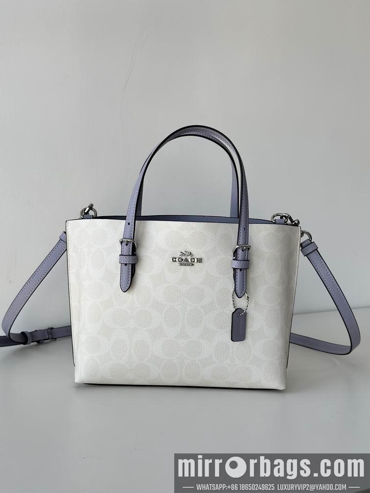 Replica Coach Bags C4250 25X19X12.5cm AZ 5
