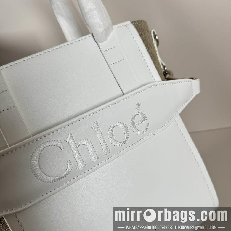 Replica Coach Bags 20.5X26X10cm 060313 XMY 6