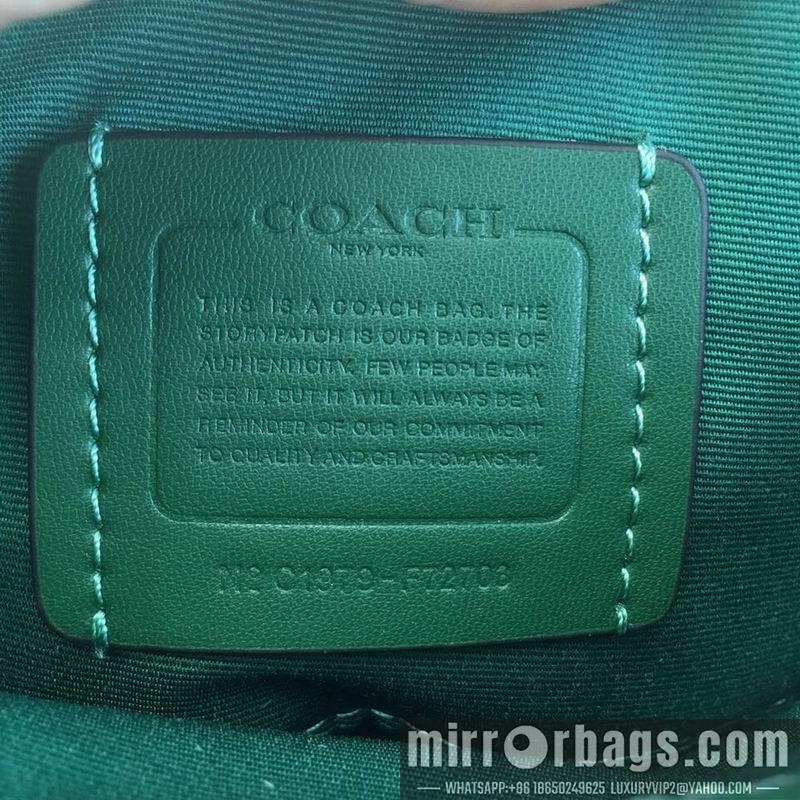 Replica Coach Bags XXL72703 green