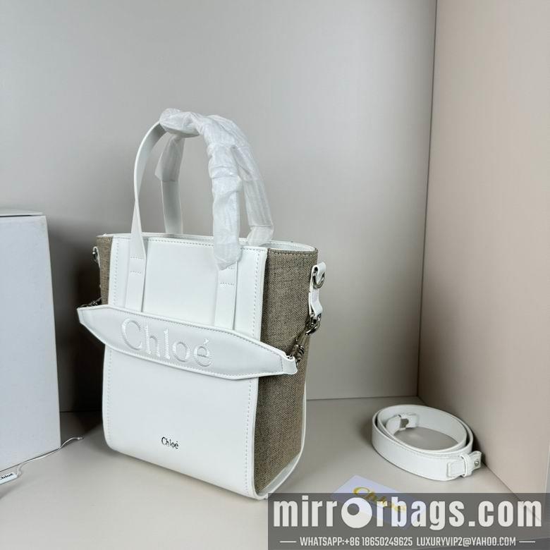 Replica Coach Bags 20.5X26X10cm 060313 XMY 6