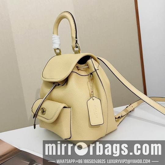 Replica Coach Bags Coach CH789 21x23x12cm zy
