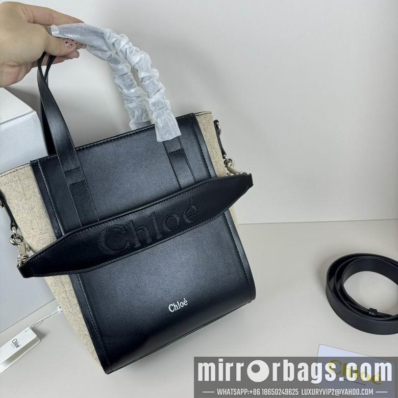 Replica Coach Bags 20.5X26X10cm 060313 XMY 4