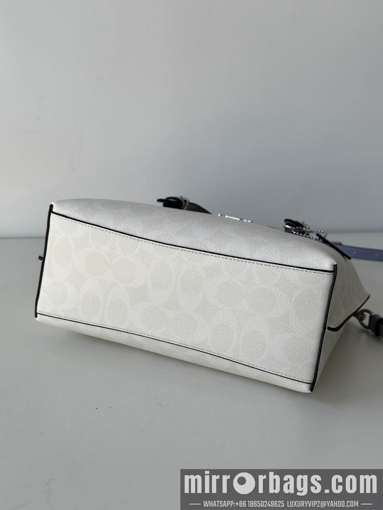 Replica Coach Bags C4250 25X19X12.5cm AZ 5