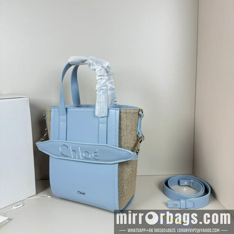 Replica Coach Bags 20.5X26X10cm 060313 XMY 3