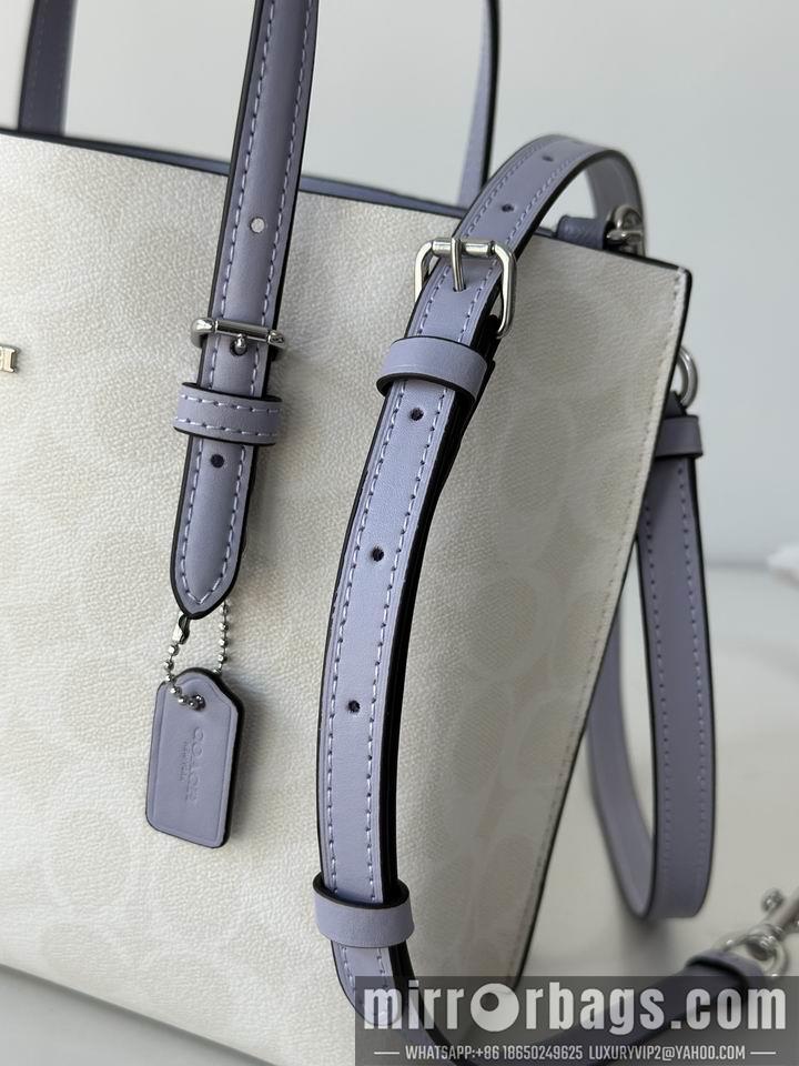 Replica Coach Bags C4250 25X19X12.5cm AZ 5