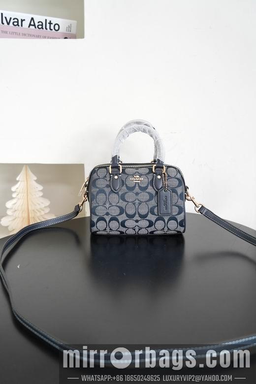 Replica Coach Bags 041405 AZ 3