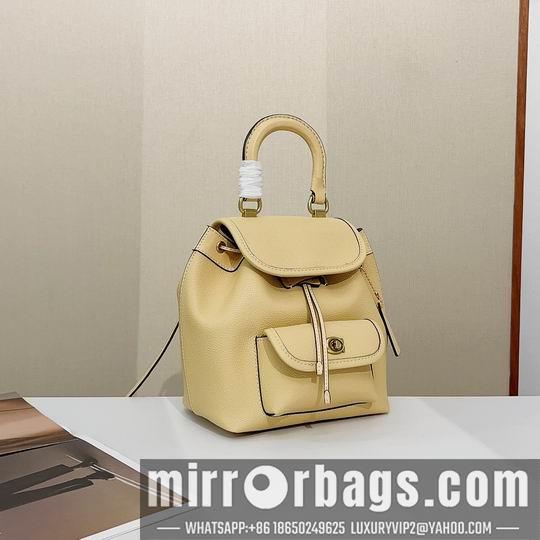 Replica Coach Bags Coach CH789 21x23x12cm zy