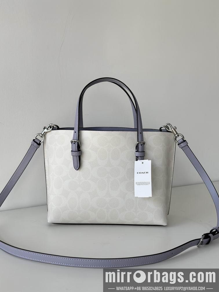 Replica Coach Bags C4250 25X19X12.5cm AZ 5