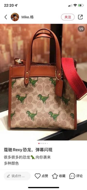 Replica Coach Bags CF083 22X21X12cm JH