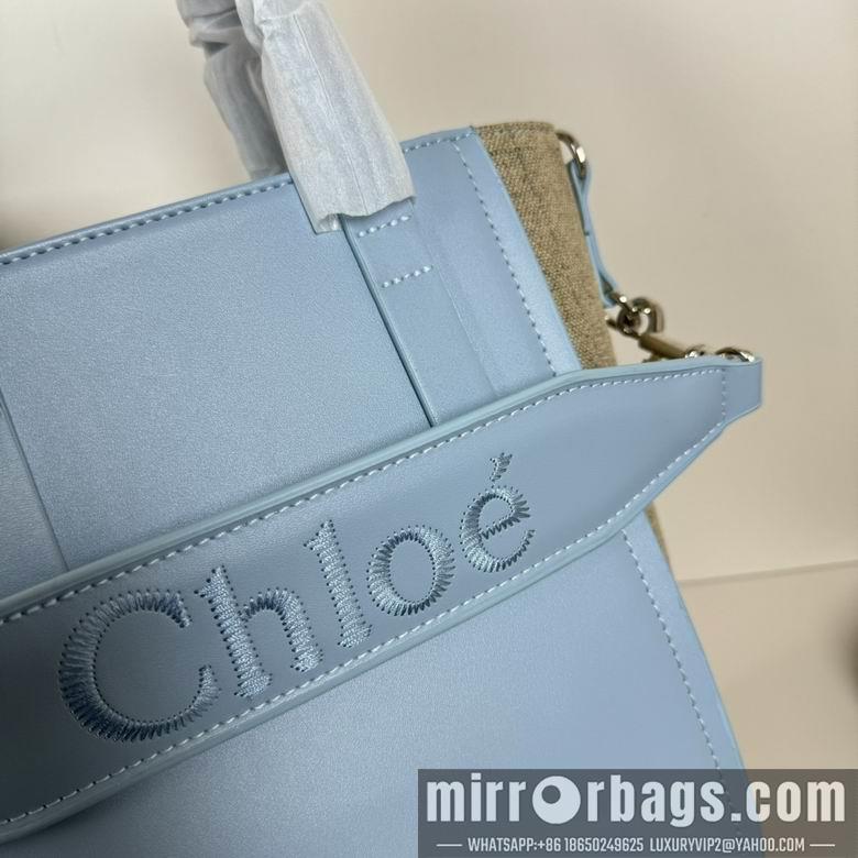 Replica Coach Bags 20.5X26X10cm 060313 XMY 3