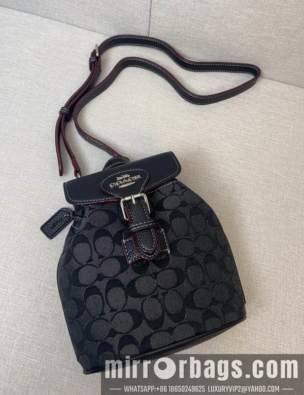 Replica Coach Bags 062303 AZ 2