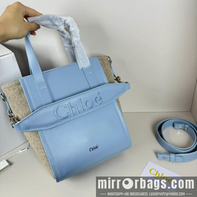 Replica Coach Bags 20.5X26X10cm 060313 XMY 3