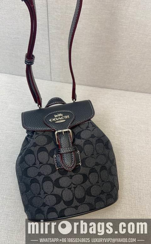 Replica Coach Bags 062303 AZ 2