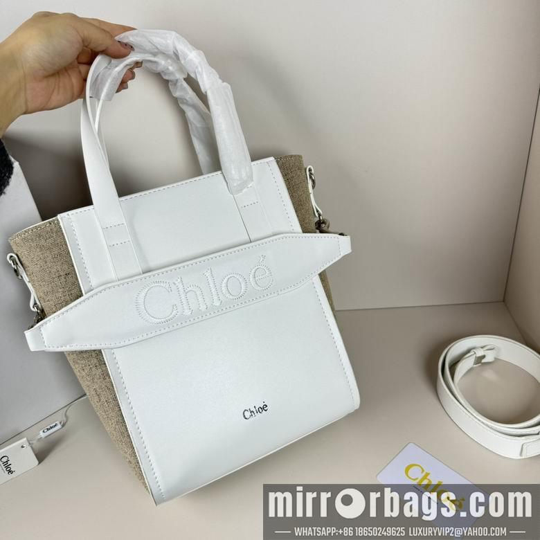 Replica Coach Bags 20.5X26X10cm 060313 XMY 6