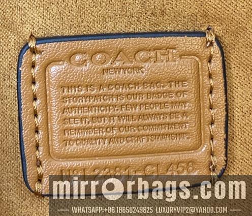 Replica Coach Bags 062303 AZ 4