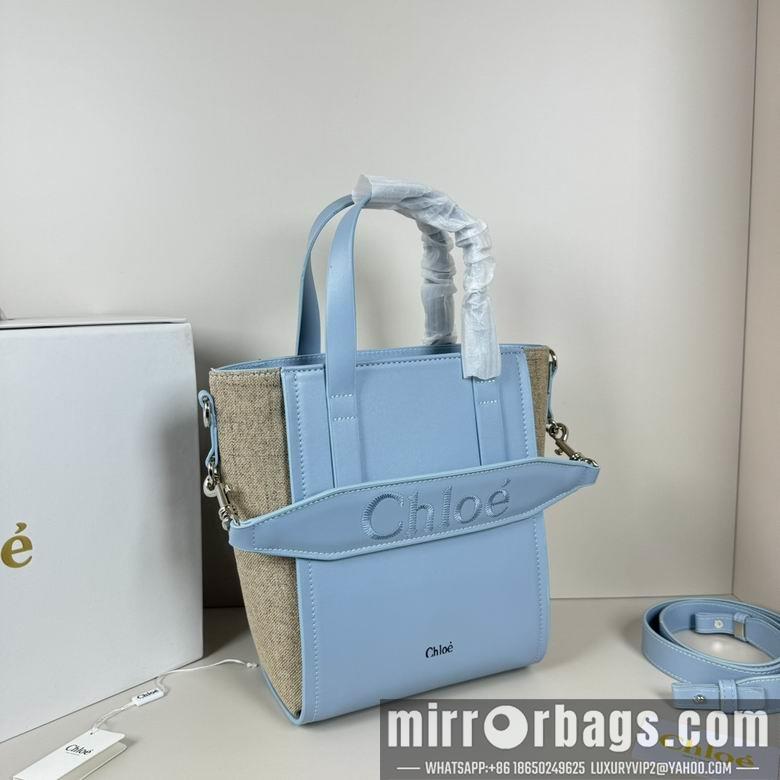 Replica Coach Bags 20.5X26X10cm 060313 XMY 3