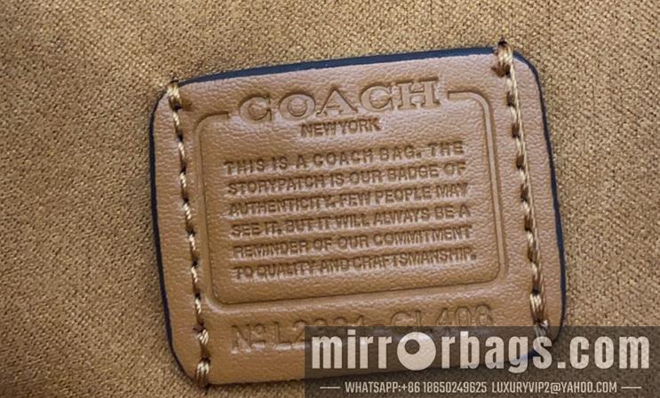 Replica Coach Bags 062303 AZ 3